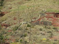 Sortie hauts cantons (10)